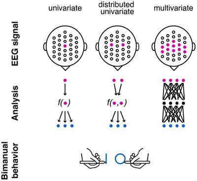 The power of multivariate approach in identifying EEG correlates of interlimb coupling